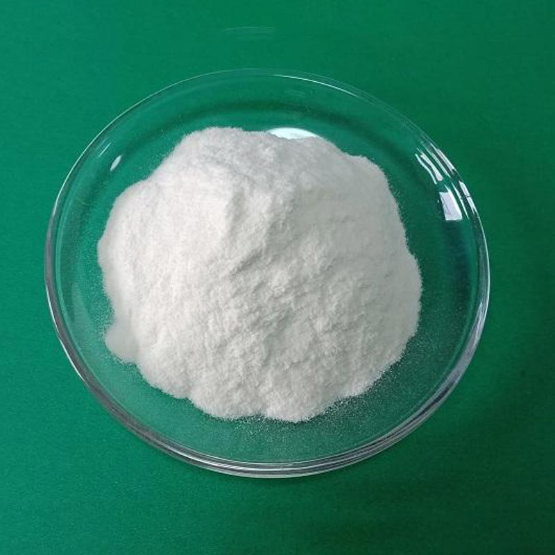 Hydroxypropyl Methylcellulose (HPMC)